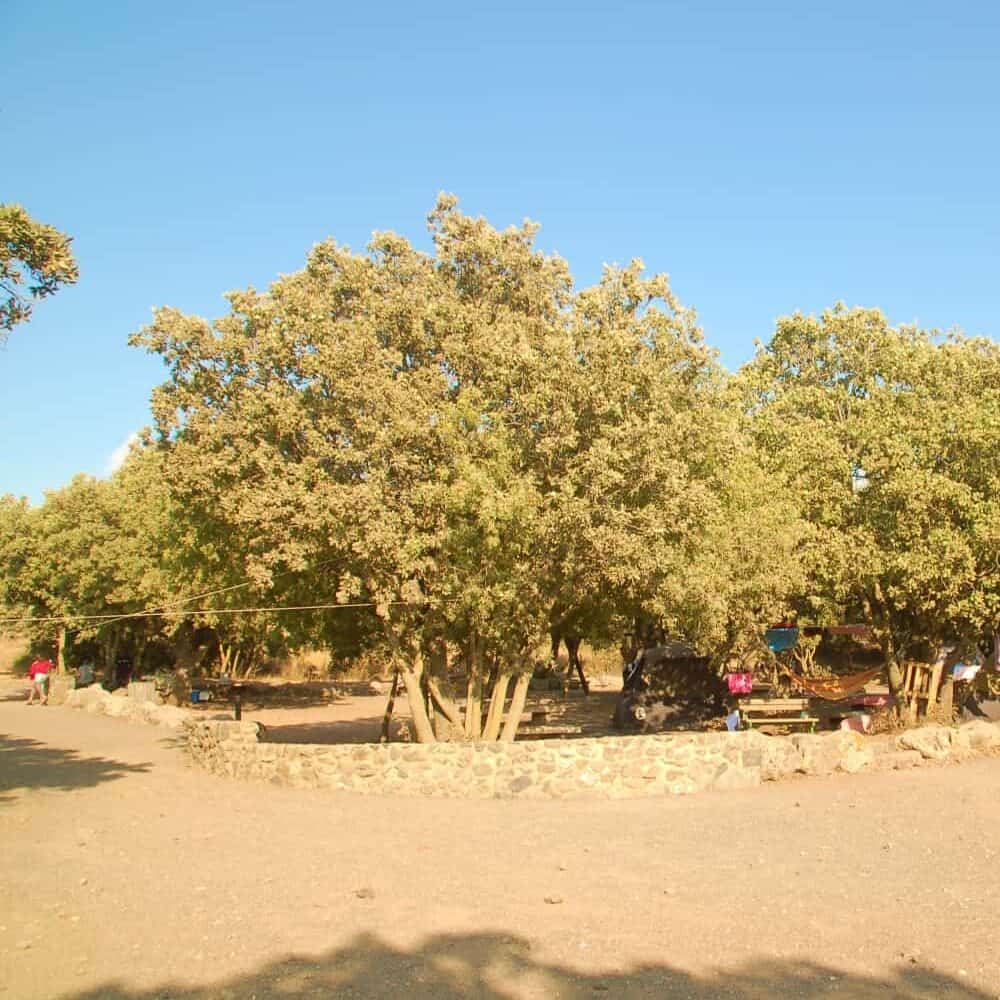 פעילות קיימות וסביבה בחניון עין זיון