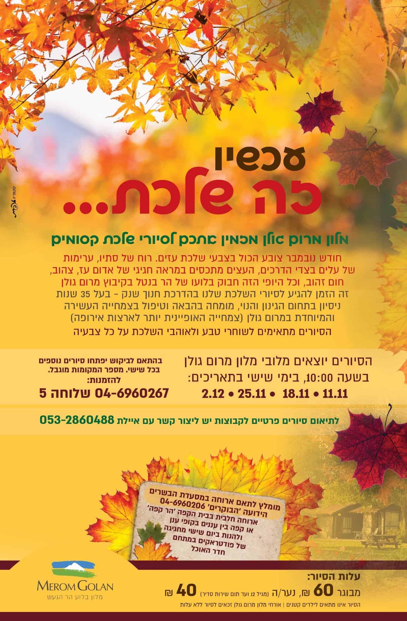 עכשיו זה שלכת סיורים במרום גולן